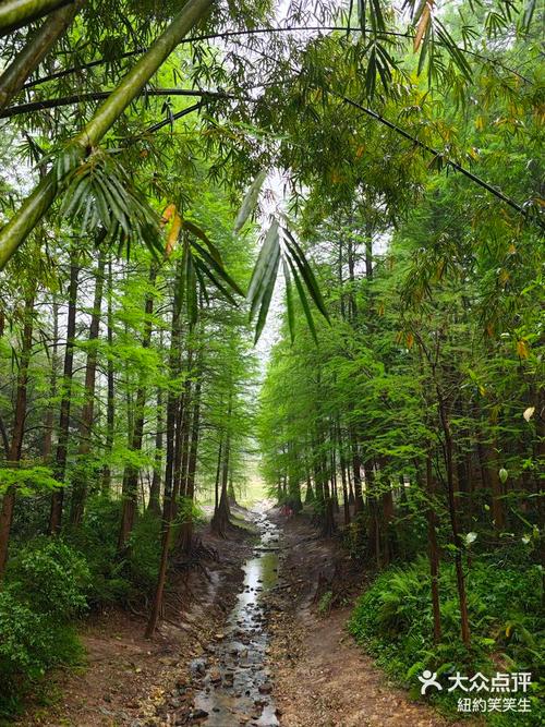 白云山风景区天气(白云山风景区门票多少钱)-第6张图片-微云百科 白云山风景区天气(白云山风景区门票多少钱)-第6张图片-微云百科